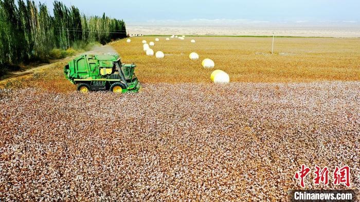 近年來，當(dāng)?shù)孛藁ǚN植戶的生產(chǎn)生活發(fā)生了翻天覆地的變化?！《?攝