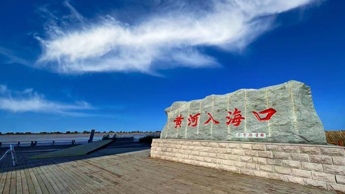 △黃河入?？谖挥谏綎|東營市墾利區(qū)。(總臺央視記者彭漢明拍攝)