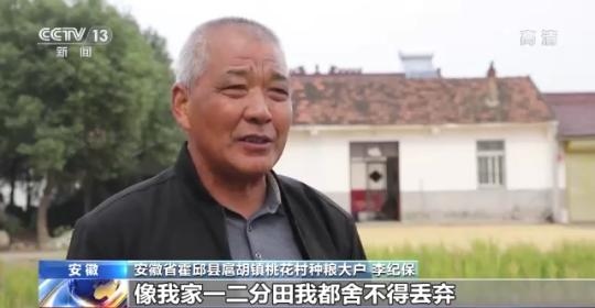 十八連豐！秋收近九成 我國糧食產能穩(wěn)步提升