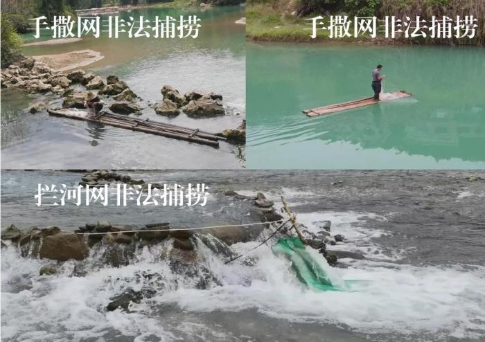 2021年9—10月，前期暗查發(fā)現(xiàn)，保護(hù)區(qū)核心區(qū)內(nèi)非法捕撈行為十分猖獗