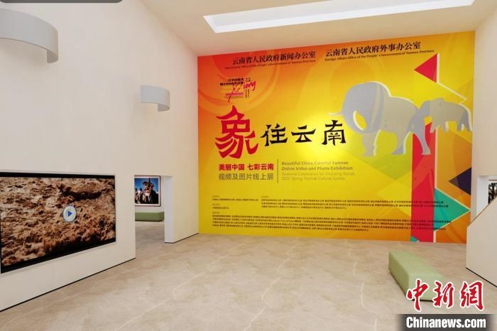 圖為“象”往云南——美麗中國 七彩云南視頻及圖片線上展截圖?！『h(yuǎn)航 攝