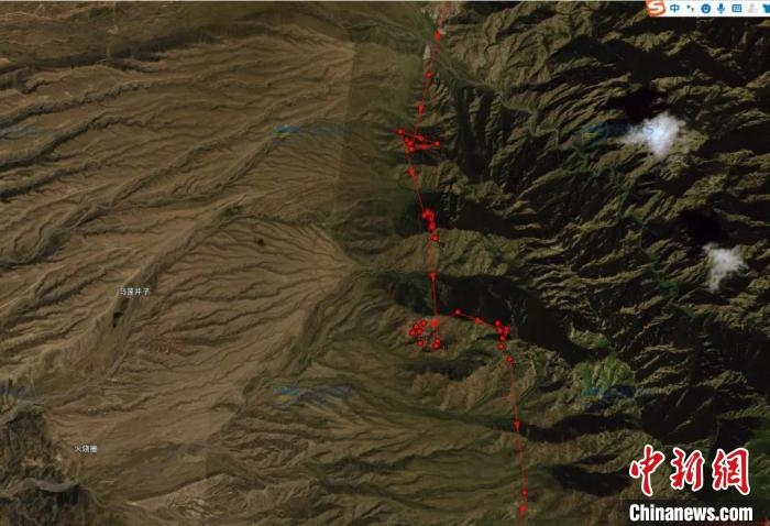 圖為雪豹故地重游來到放歸地的足跡?！让晒刨R蘭山國家級自然保護區(qū)供圖