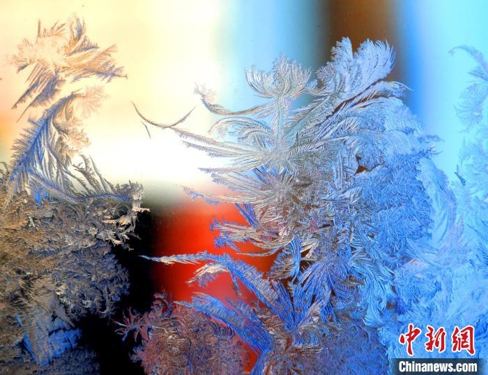 冰窗花千姿百態(tài)?！O書程 攝