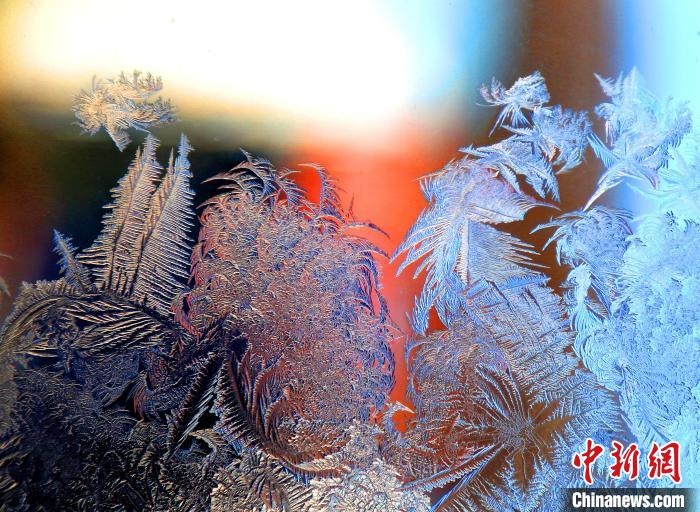 惟妙惟肖的冰窗花，似一幅風(fēng)景畫?！O書程 攝