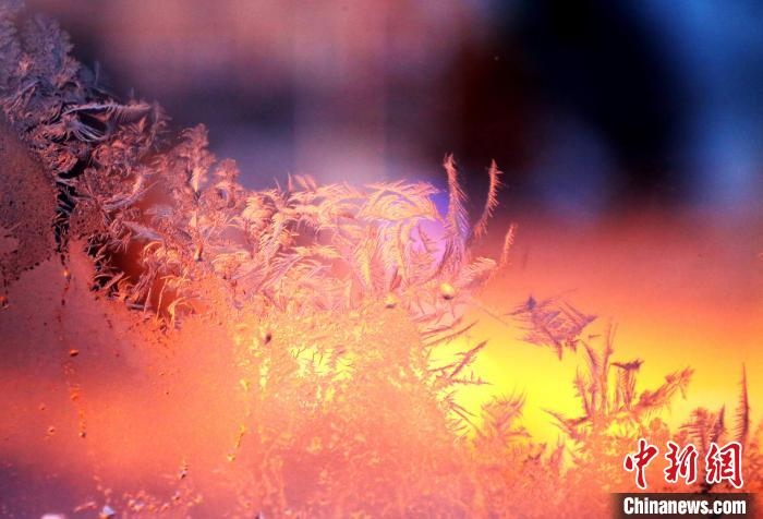 迎著光亮，冰窗花絢麗多姿。　孫書程 攝