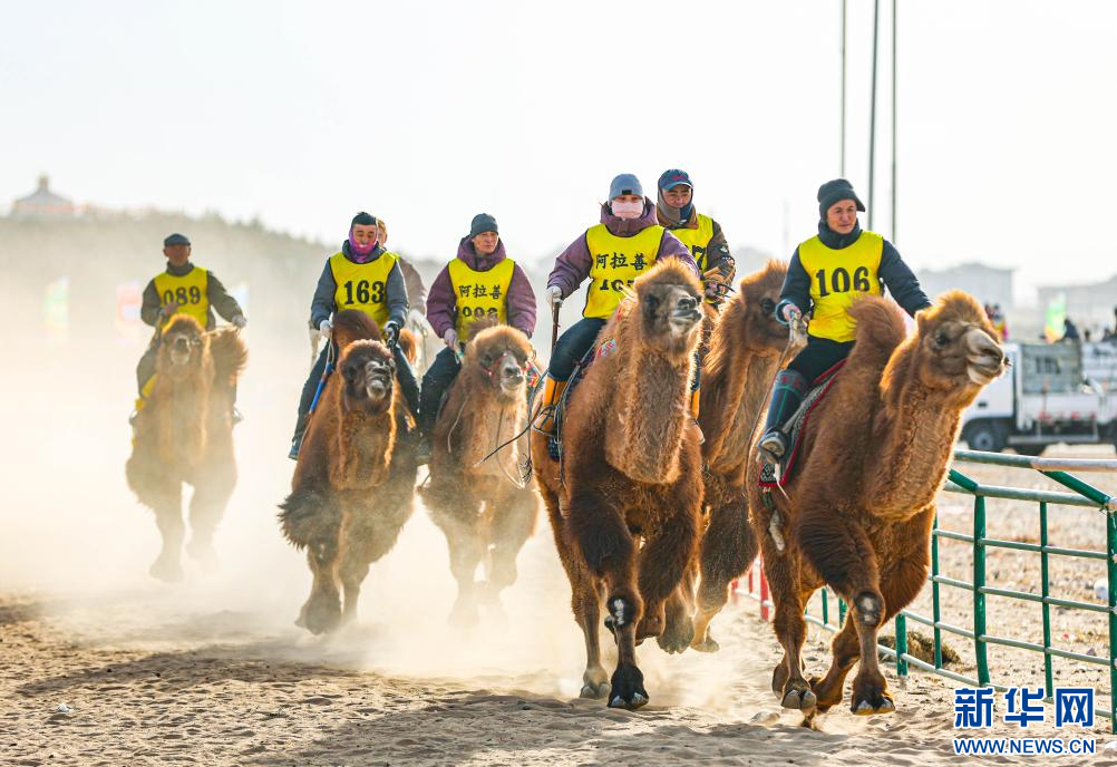 3月7日，賽駝手在6000米成年駱駝場(chǎng)地速度賽比賽中。.jpg