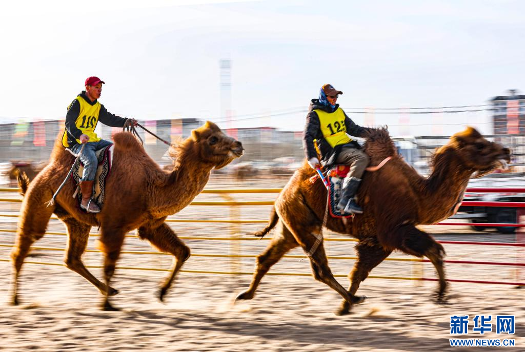 3月7日，賽駝手在6000米成年駱駝場(chǎng)地速度賽比賽中.jpg