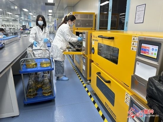 【高質(zhì)量發(fā)展看中國】基因遞送排頭兵 可實(shí)現(xiàn)“個(gè)性化”定制