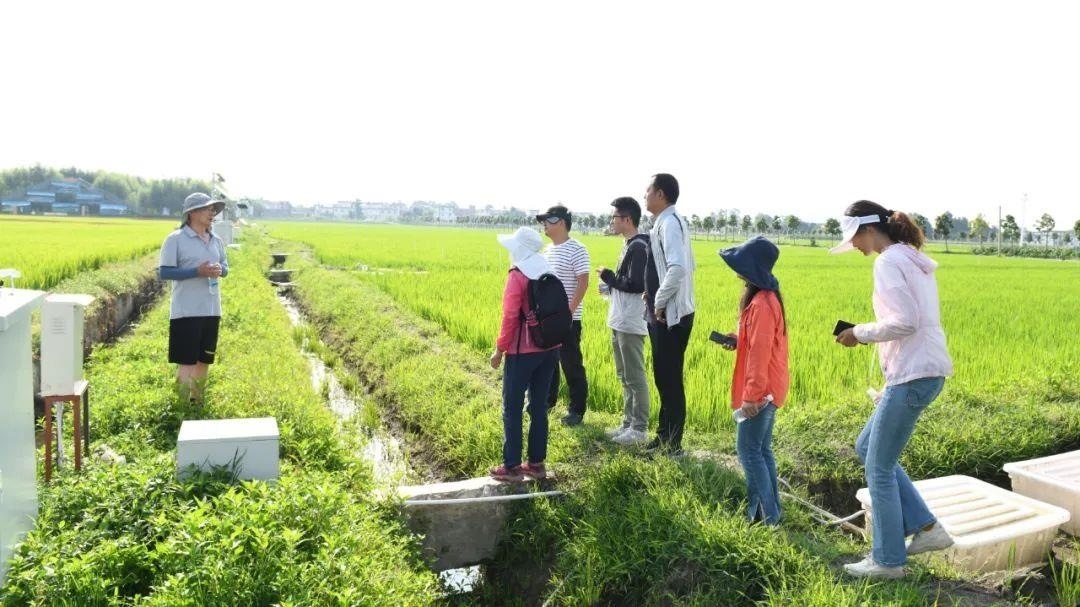 △云南大理古生村科技小院成員在田間調(diào)查。