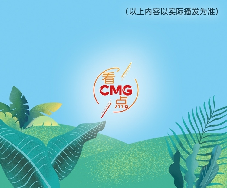 總臺周看點，來了！