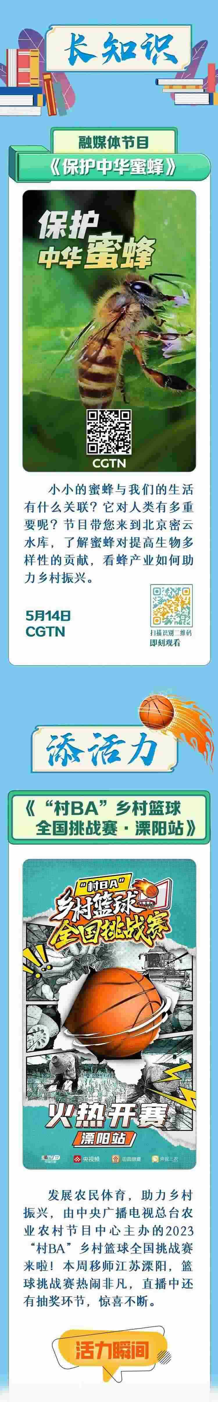 總臺周看點，來了！