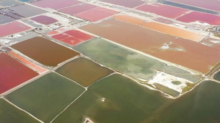 鑒往知來，跟著總書記學歷史丨走進一座博物館，尋根五千年中華文明