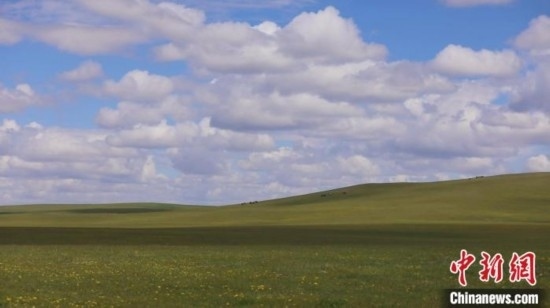 圖為點點新綠在原野上蓄勢待發(fā)。 歐戈 攝