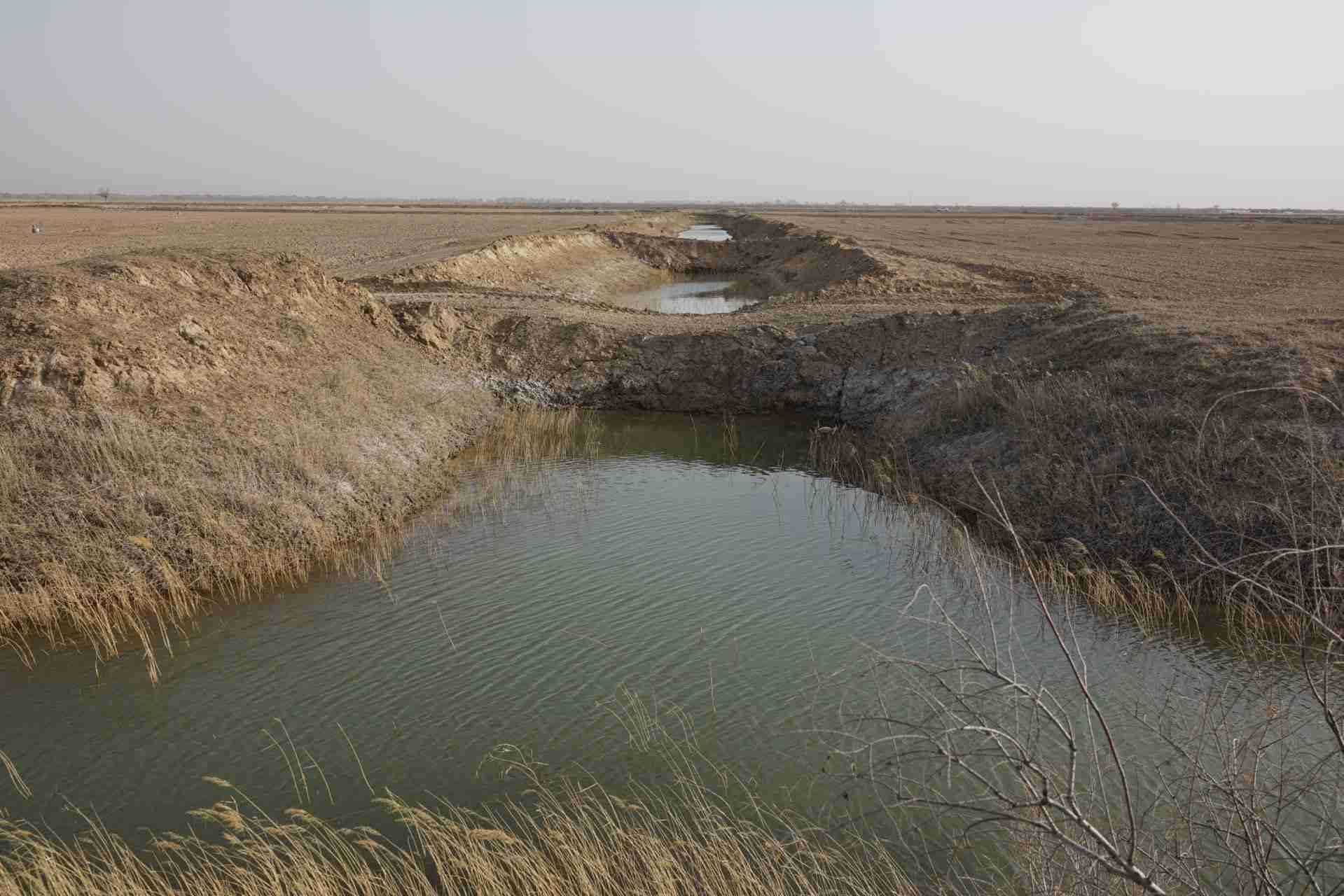 堵塞的排堿渠。 人民網(wǎng)記者 游天燚攝