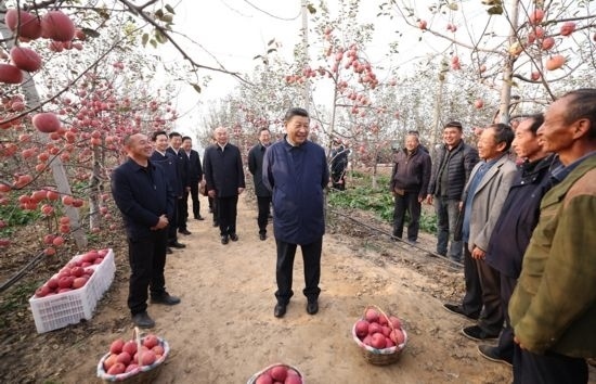 2022年10月26日，習(xí)近平總書記在陜西省延安市安塞區(qū)高橋鎮(zhèn)南溝村蘋果園同老鄉(xiāng)們親切交流。