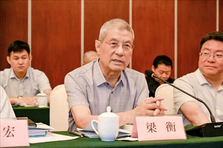 中國林業(yè)生態(tài)作家協(xié)會名譽(yù)主席梁衡發(fā)言。主辦方供圖