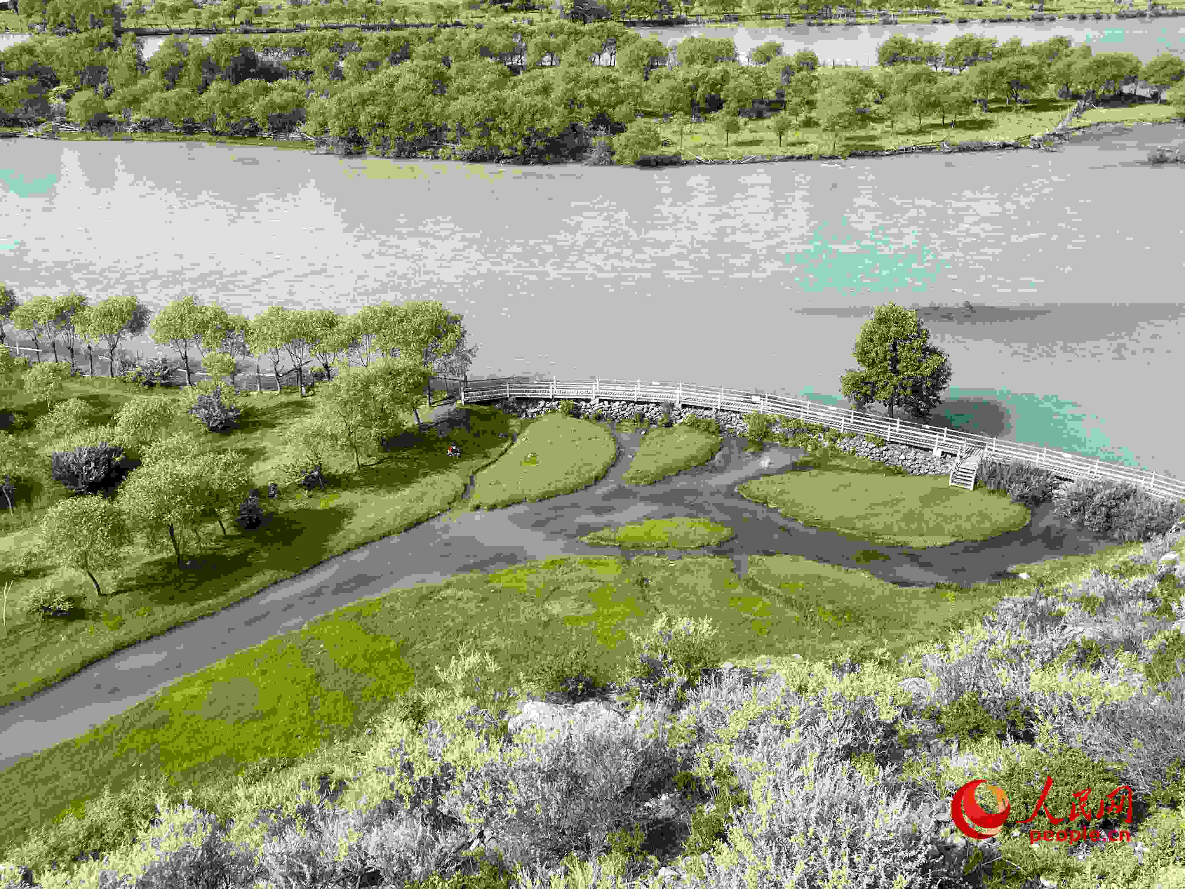 夏日的雅尼國(guó)家濕地公園生機(jī)盎然，如詩(shī)如畫。人民網(wǎng) 周靜圓攝