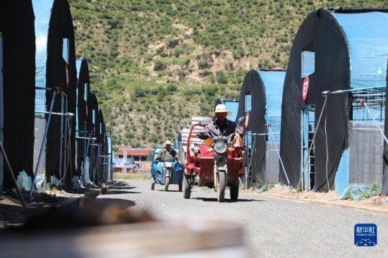 7月29日，農(nóng)戶在卓尼縣納浪鎮(zhèn)納浪村黑木耳種植基地勞作。