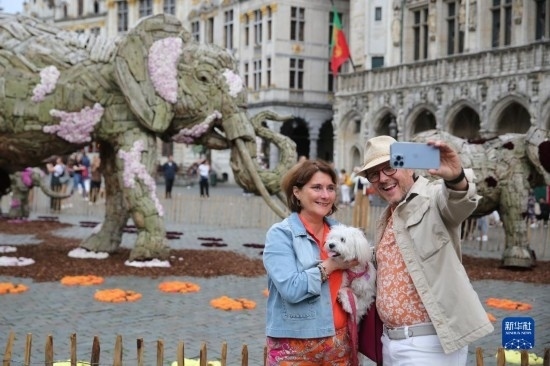 8月11日，觀眾在比利時(shí)布魯塞爾“鮮花時(shí)光”展覽上拍照。新華社記者 趙丁喆攝