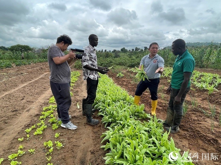 人民網(wǎng)記者走進尼日利亞農(nóng)業(yè)技術(shù)示范中心。人民網(wǎng)記者 趙艷紅攝