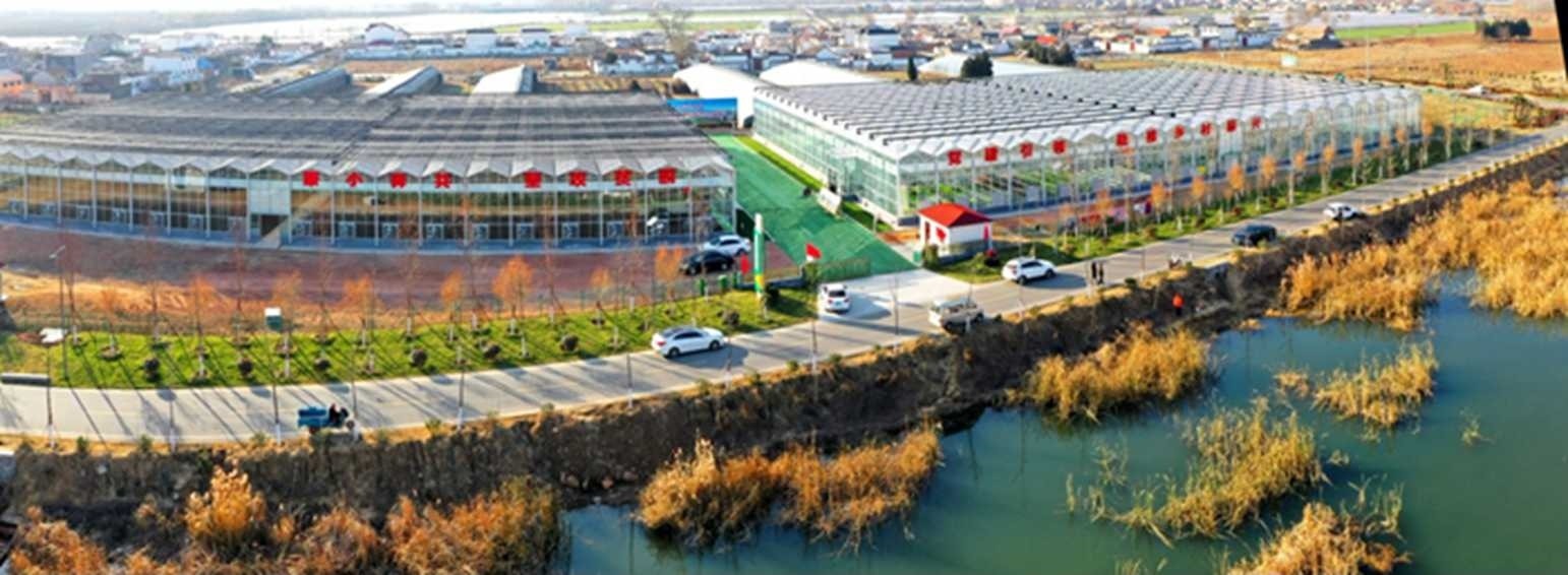 白樓灣三產(chǎn)融合發(fā)展。宋道森攝