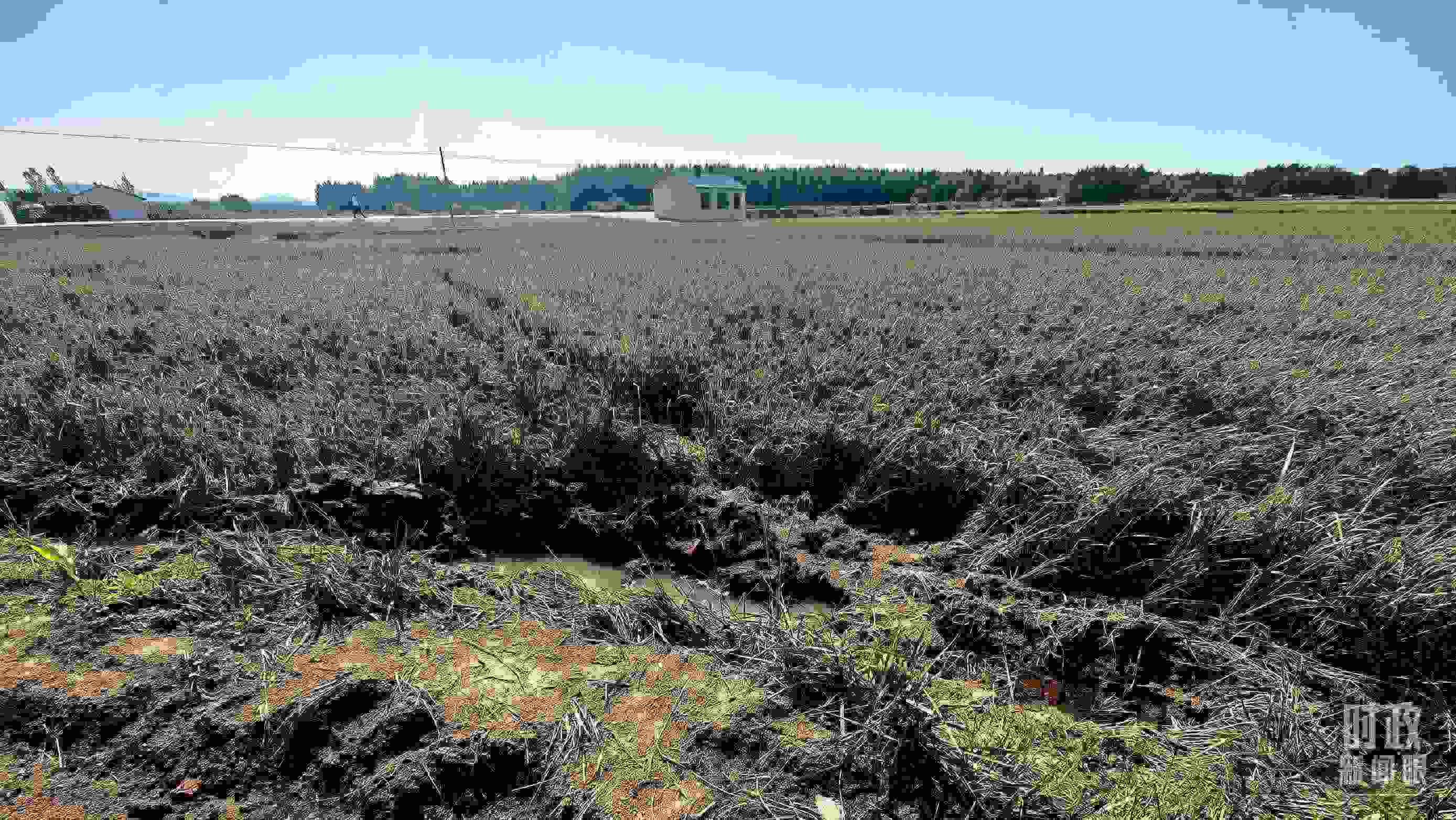 △圖為龍王廟村在洪災(zāi)中受損的農(nóng)田。（總臺(tái)央視記者史偉拍攝）