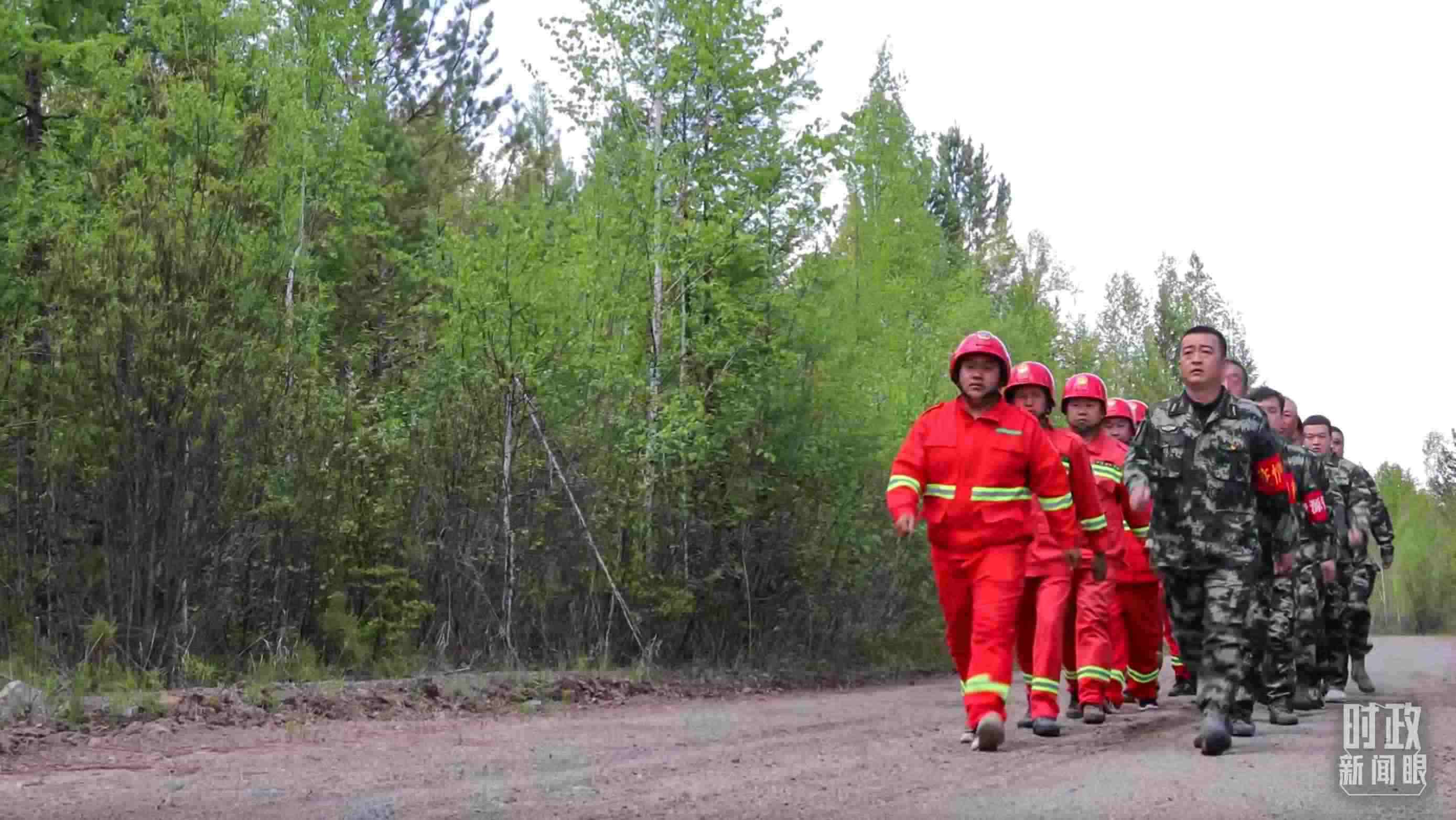 △林場里的森林巡護。