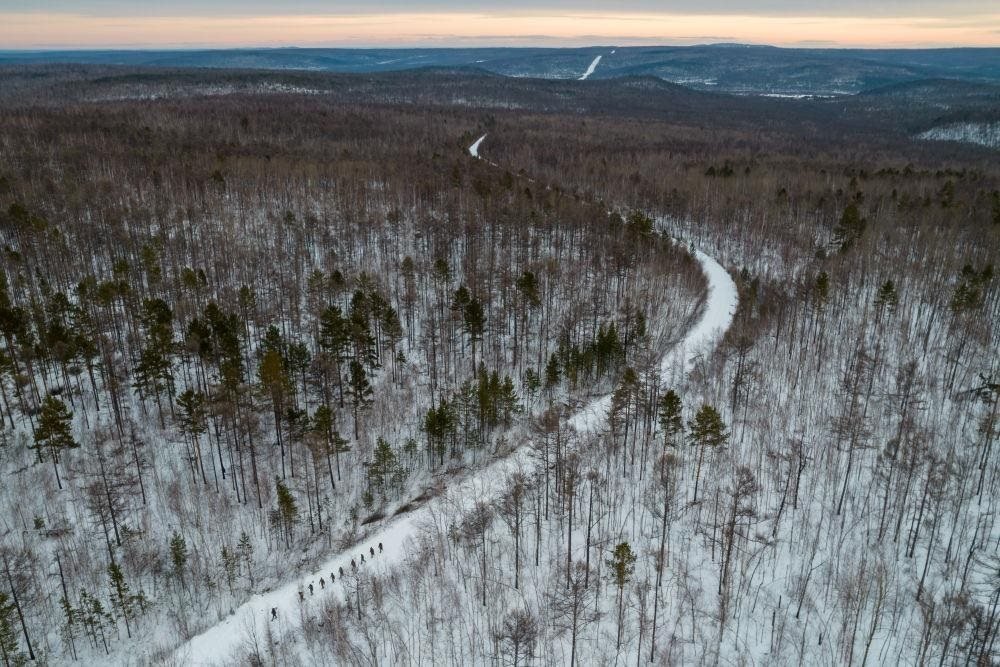 △2023年1月，漠河林場數(shù)十名職工自發(fā)組成的森林撫育隊伍，在人跡罕至的山林中作業(yè)。