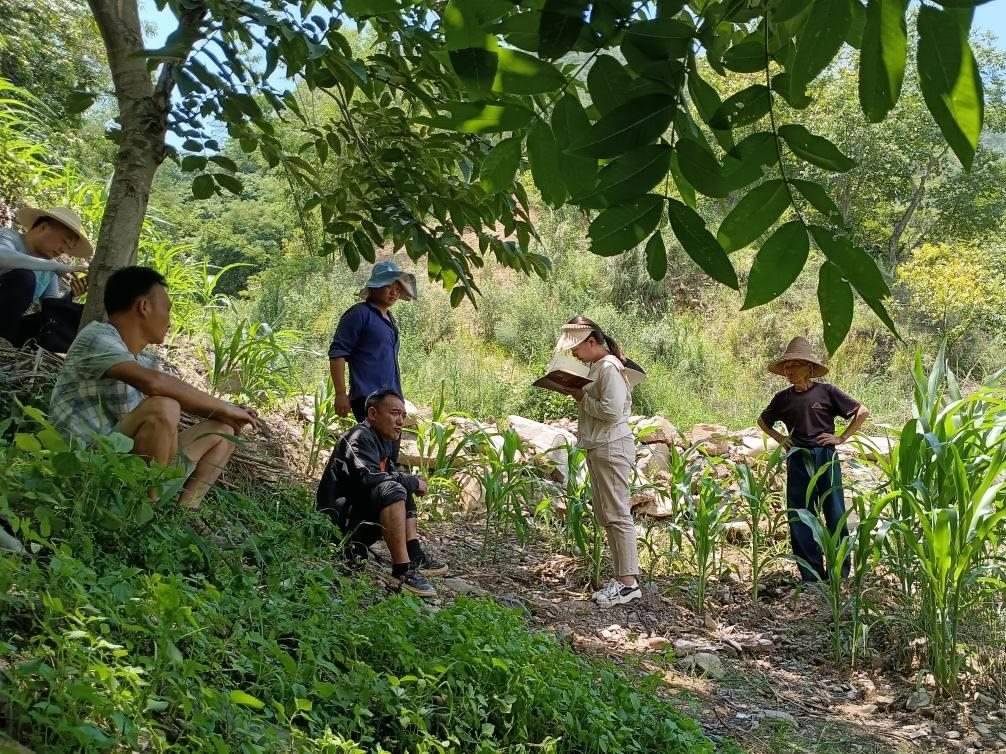2023年7月18日，兩家村民發(fā)生土地方面的糾紛，李江女（右二）在記錄情況。受訪者供圖