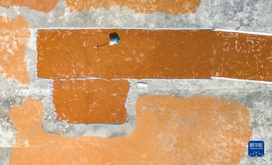 9月16日，農(nóng)民在貴州省安順市西秀區(qū)大西橋鎮(zhèn)吉昌村晾曬高粱（無人機(jī)照片）。