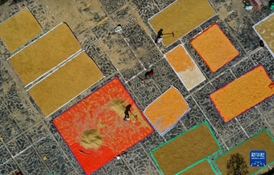 9月16日，貴州省黔東南苗族侗族自治州丹寨縣南皋鄉(xiāng)石橋村村民在晾曬農(nóng)作物（無人機(jī)照片）。