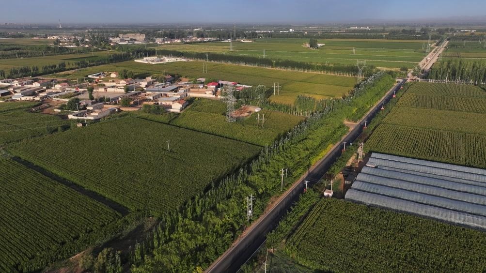 東興村周邊建起防護林網（無人機照片，2023年9月12日攝）。新華社記者李云平 攝