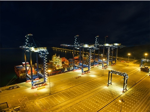 萊基港實(shí)行7×24小時(shí)裝卸作業(yè)機(jī)制。受訪者供圖