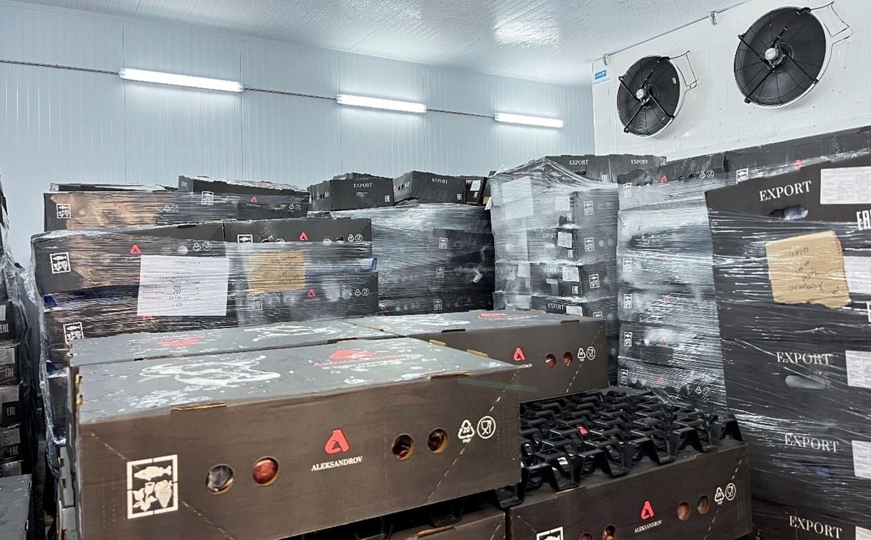 恒溫冷庫(kù)中，包裝好的牛肉等待發(fā)往中國(guó)。人民網(wǎng)記者 朱虹攝