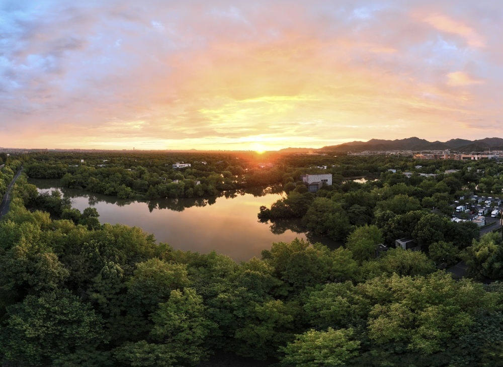 杭州西溪濕地日出景觀。