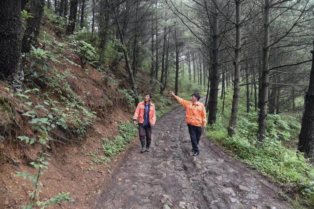 海雀村生態(tài)護(hù)林員馬正安（左）和海雀村林管員王光德（右）在日常巡山護(hù)林。新華社記者 李凡 攝