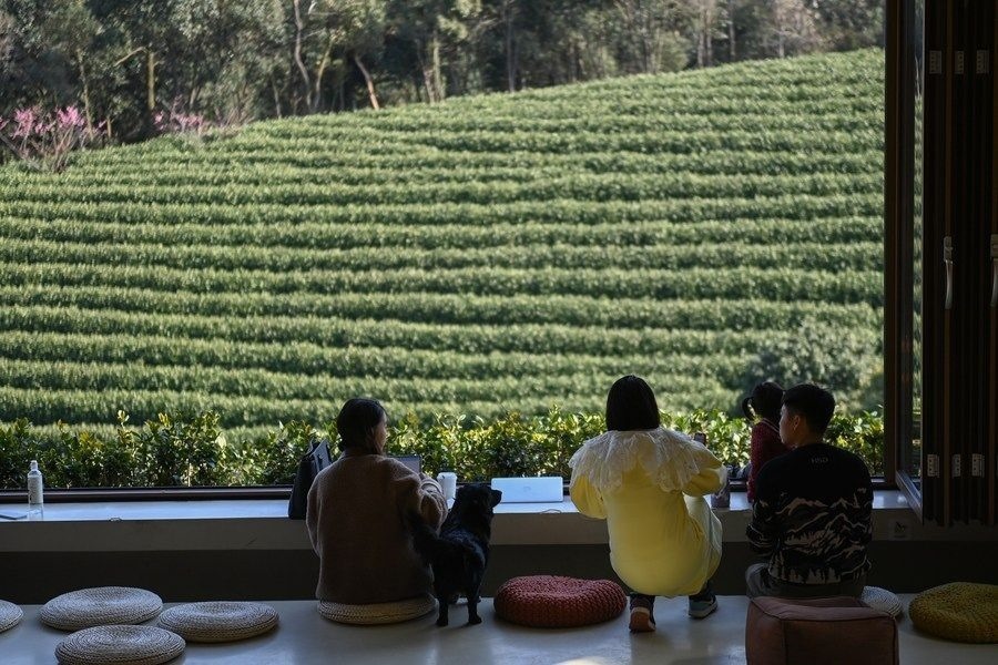 游客在浙江省安吉縣黃杜村萬畝茶園邊的咖啡館休閑（2023年2月21日攝）。