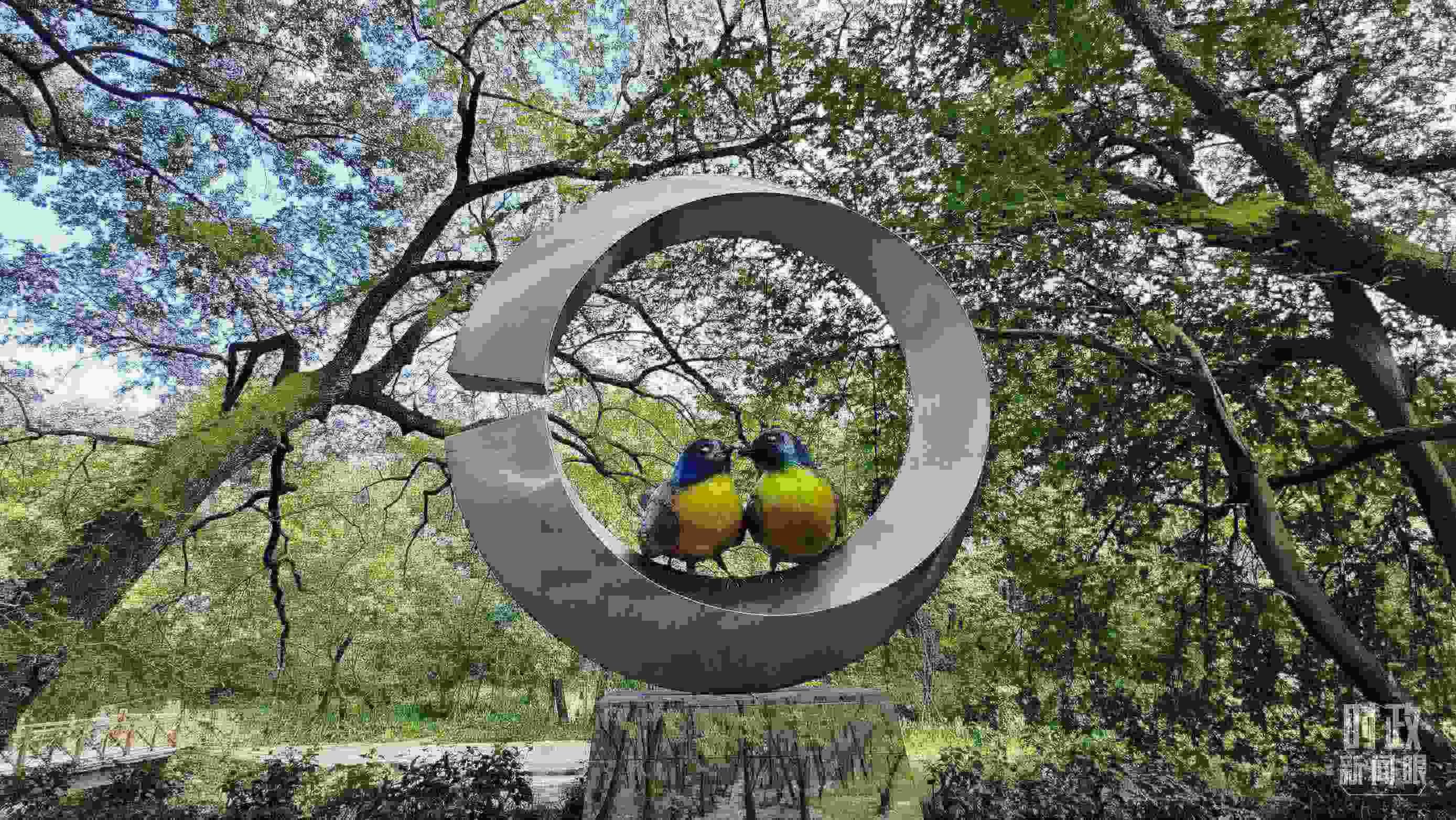 △石門村里的藍冠噪鹛雕像。（總臺央視記者許永松拍攝）