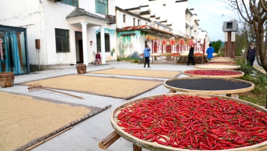 近日拍攝的江西省上饒市婺源縣秋口鎮(zhèn)王村石門自然村。新華社記者 胡晨歡 攝