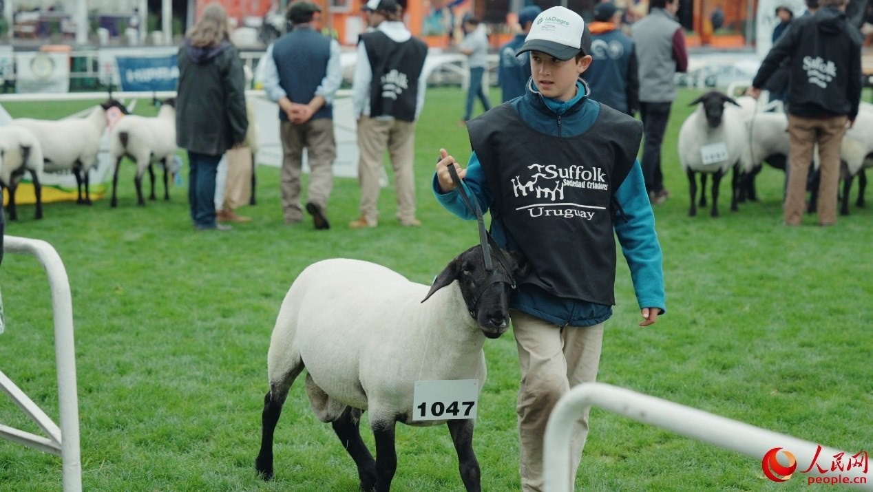 烏拉圭第118屆普拉多牧農(nóng)業(yè)國際博覽會現(xiàn)場。人民網(wǎng)記者 張若涵攝