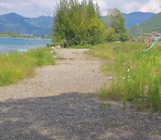 王軍所說(shuō)被填區(qū)域。 人民網(wǎng)記者 黃鈺攝