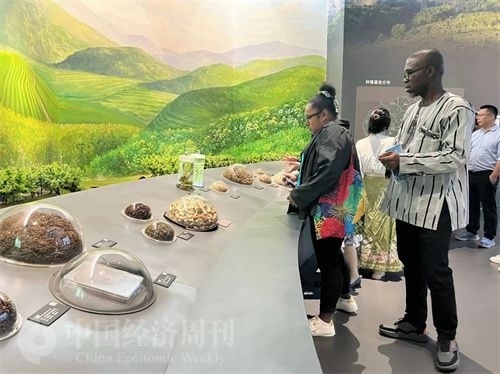  （在中國藥都中醫(yī)藥博物館，外媒記者了解中醫(yī)藥發(fā)展史。中國經(jīng)濟周刊記者 郭志強 攝）