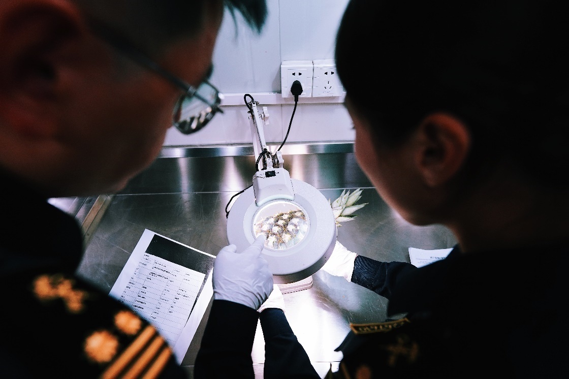 上海海關(guān)關(guān)員針對檢疫性有害生物和農(nóng)藥殘留進行檢疫檢驗。陳興洲攝