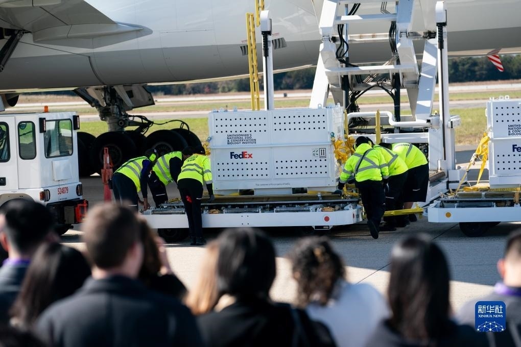 11月8日，在美國弗吉尼亞州的華盛頓杜勒斯國際機場，裝有大熊貓的特制“旅行包廂”準備運上專機。新華社記者劉杰攝