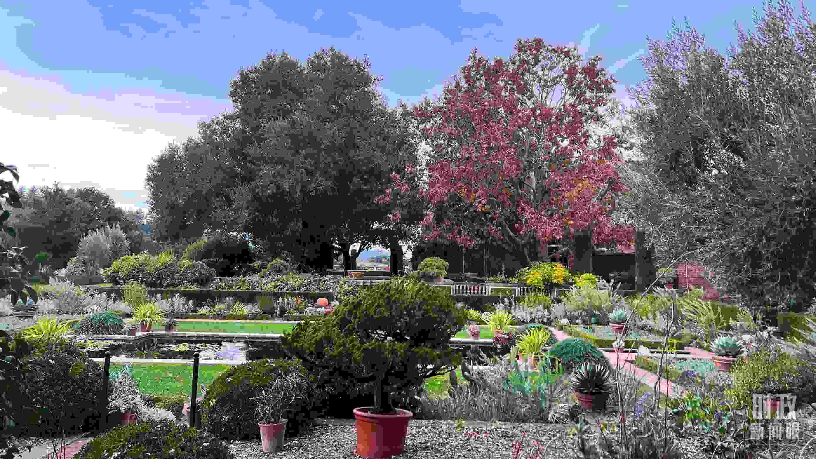 斐洛里莊園被稱(chēng)作美國(guó)20世紀(jì)現(xiàn)存最精美鄉(xiāng)村莊園之一。（總臺(tái)央視記者程鋮拍攝）