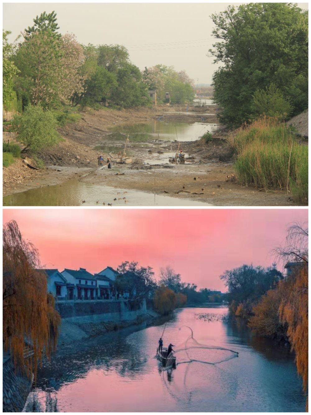 江蘇省揚(yáng)州市江都區(qū)明清運(yùn)河故道整治前后。（上圖：2012年；下圖：2020年）（孫友定 攝）