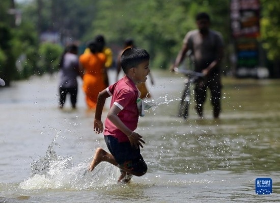11月24日，一名男孩在斯里蘭卡加姆珀哈涉水出行。新華社發(fā)（阿吉特·佩雷拉攝）