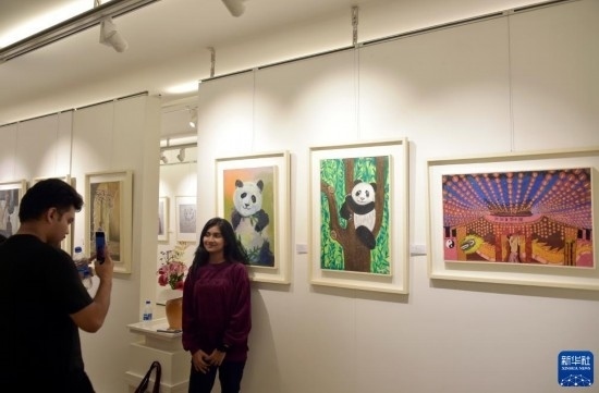 11月22日，在孟加拉國(guó)達(dá)卡，人們?cè)凇皣?guó)家印象”繪畫(huà)展上參觀(guān)拍照。新華社發(fā)（薩利姆攝）