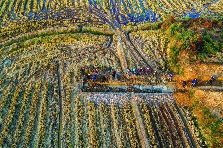 良渚遺址考古發(fā)掘現(xiàn)場。