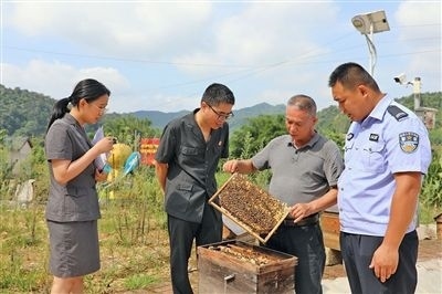  圖②：蒙山法院黃村法庭法官深入蜂蜜合作社，實地了解蜂農(nóng)需求。